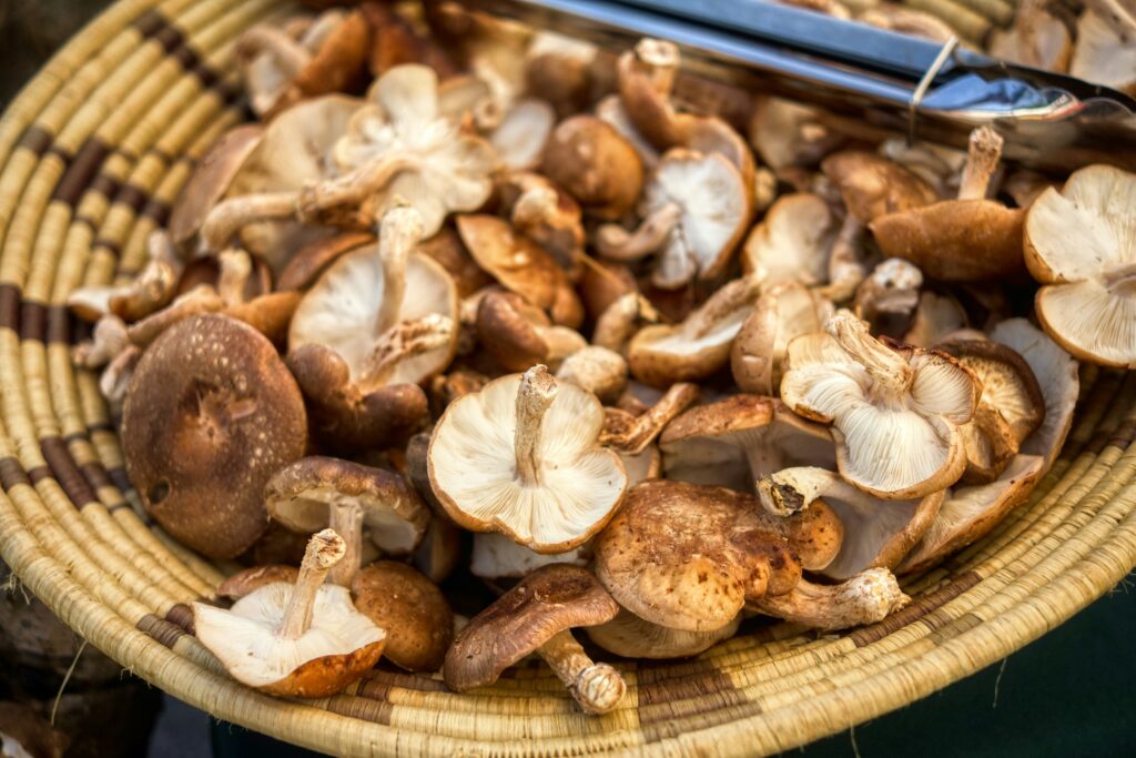 Antojo otoñal: bucatini con salsa de hongo shiitake