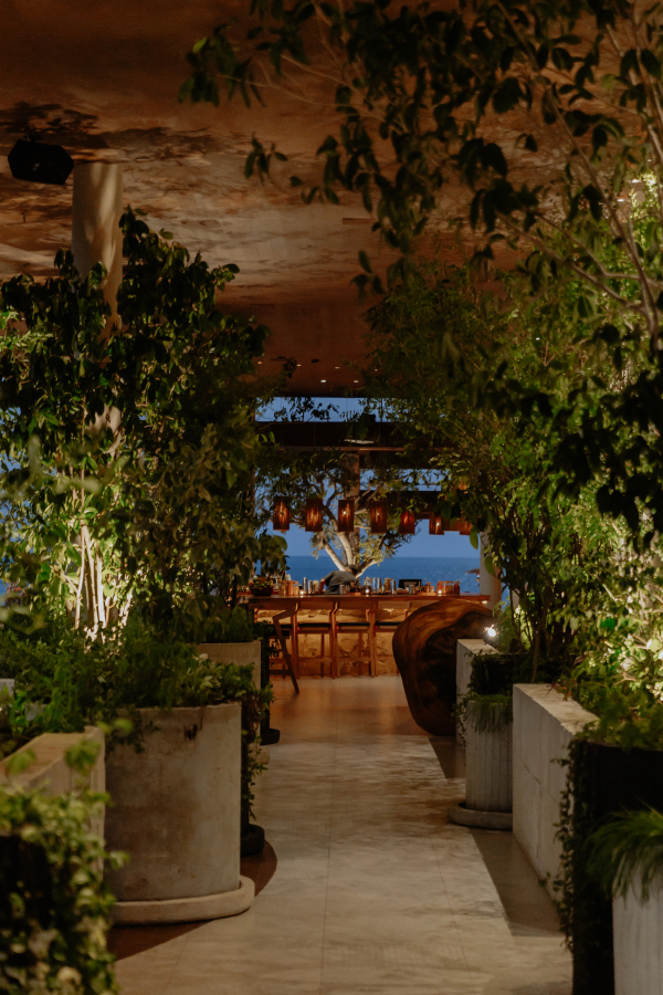 Baja Lab Kitchen: epicentro de la alta cocina en Los Cabos