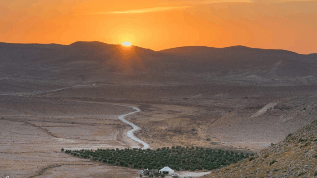 Négev: la expresión del desierto 