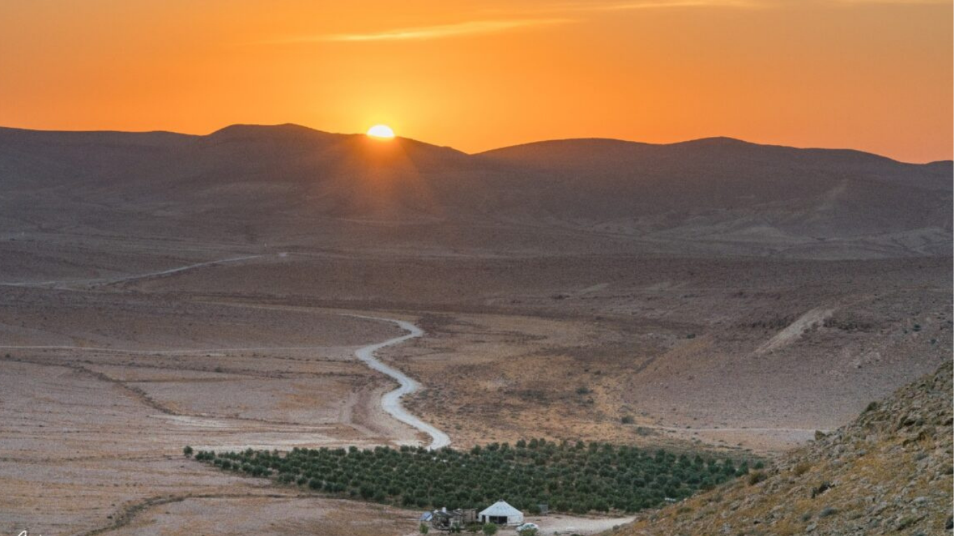Négev: la expresión del desierto 