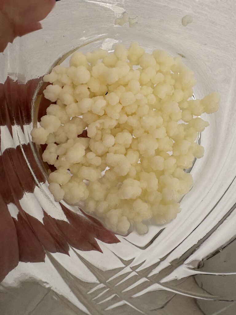 Beneficios del Kéfir y algunas recetas para consumirlo