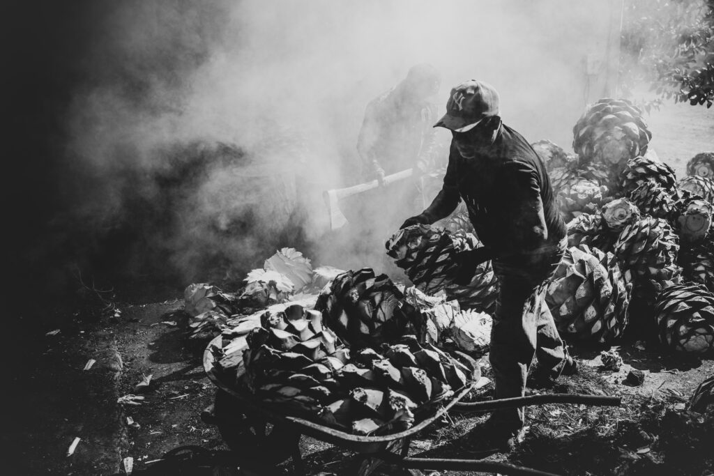 Zancudo: el mezcal que brinda por la vida y la memoria