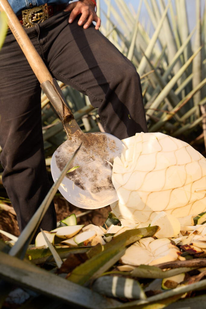 Dobel Tahona, un homenaje a la tradición, calidad y sofisticación de Tequila Maestro Dobel
