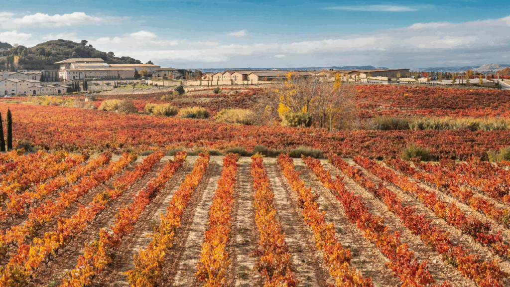 Un sorbo a la mejor bodega de Europa