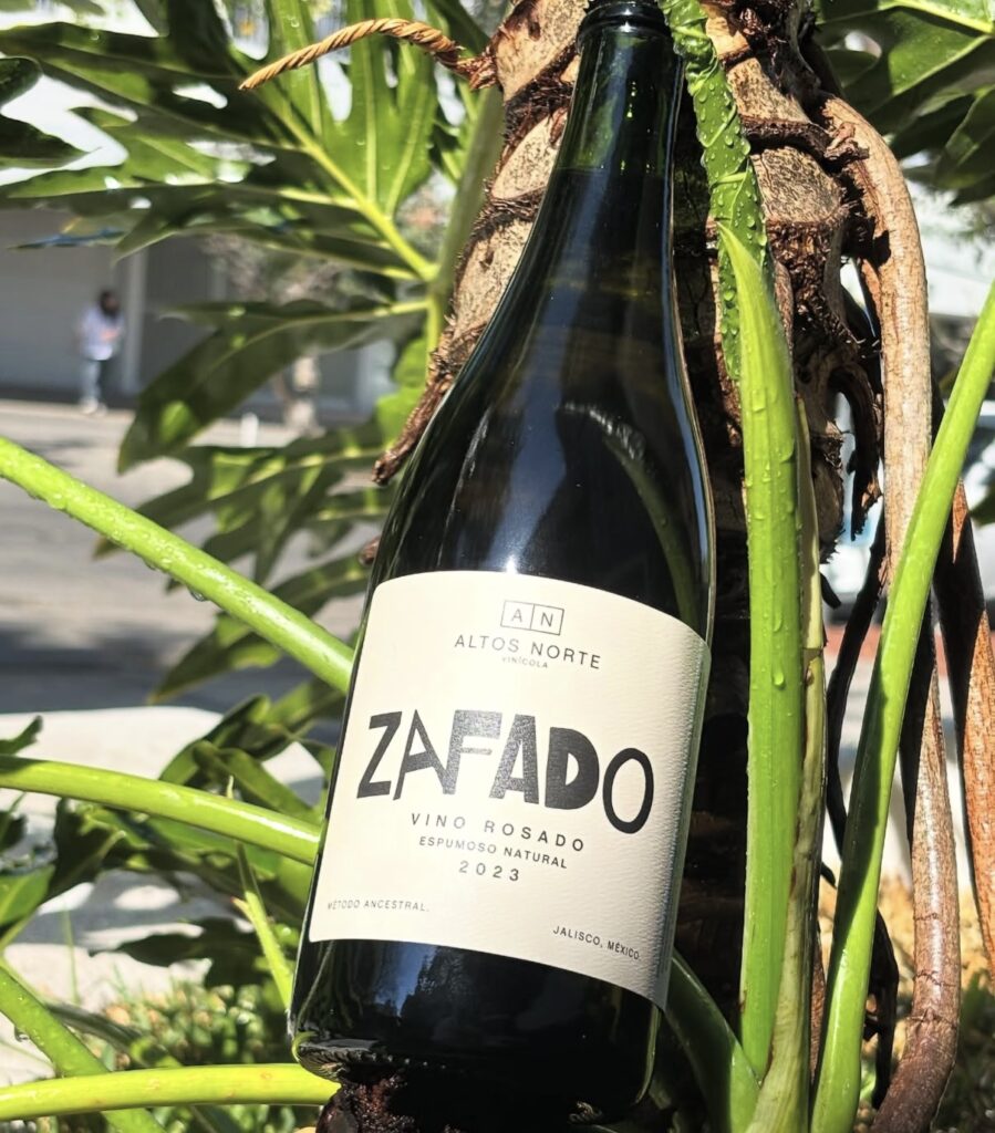 Altos Norte: vinos que nacen de la tierra y regresan a ella