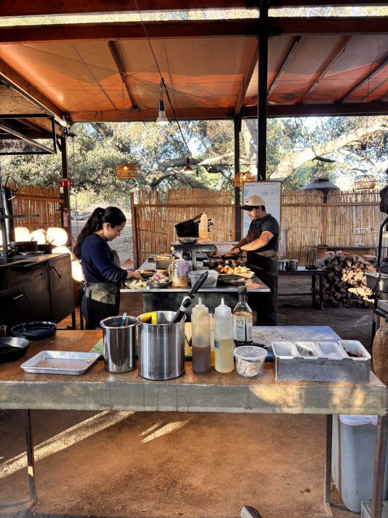 Bitácora del Paladar: Primitivo, breve historia en el Valle de Guadalupe