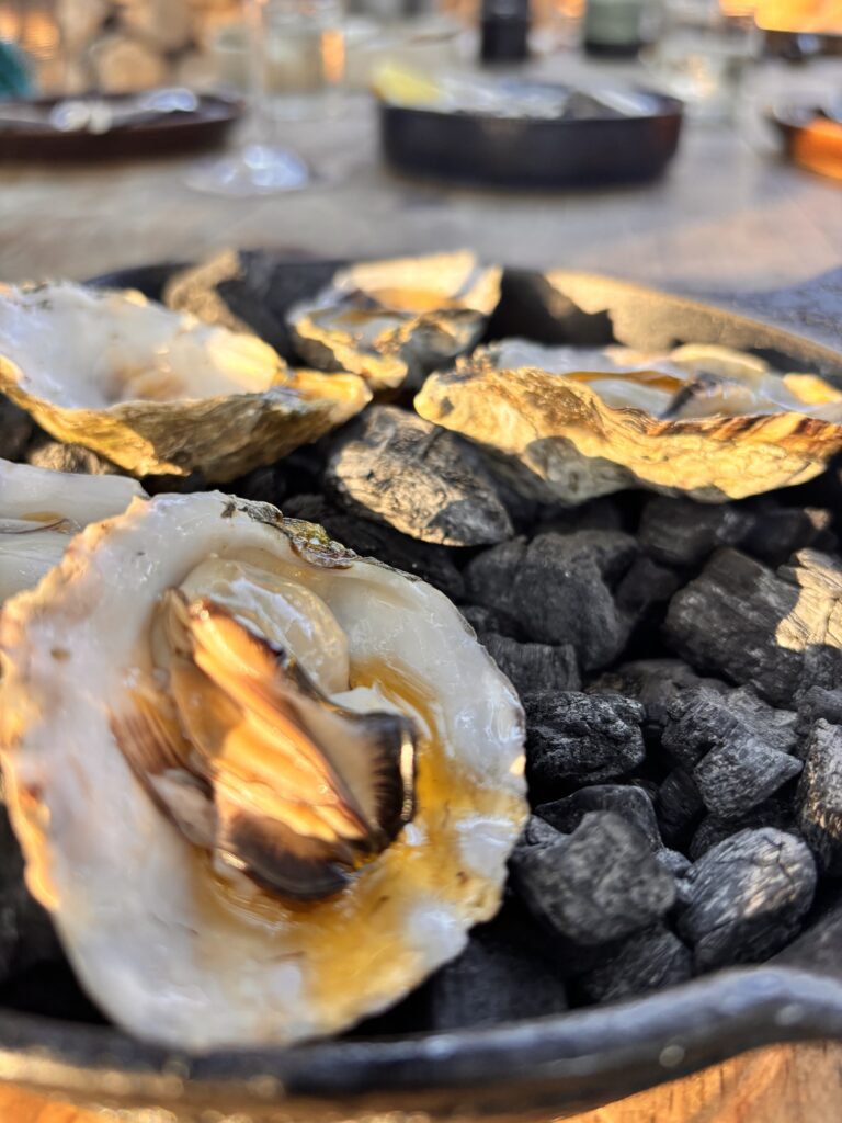 Bitácora del Paladar: Primitivo, breve historia en el Valle de Guadalupe