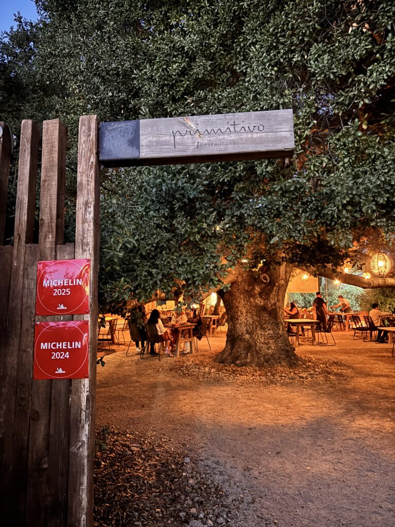 Bitácora del Paladar: Primitivo, breve historia en el Valle de Guadalupe