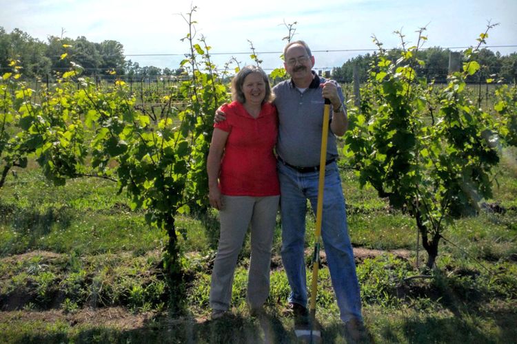 Lagos: una sutil influencia en los vinos más cautivadores del mundo