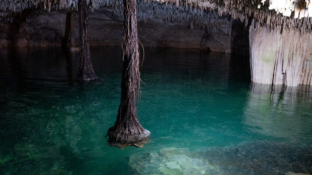 Puerto Morelos emerge con su ritmo pausado y una gastronomía que honra al mar