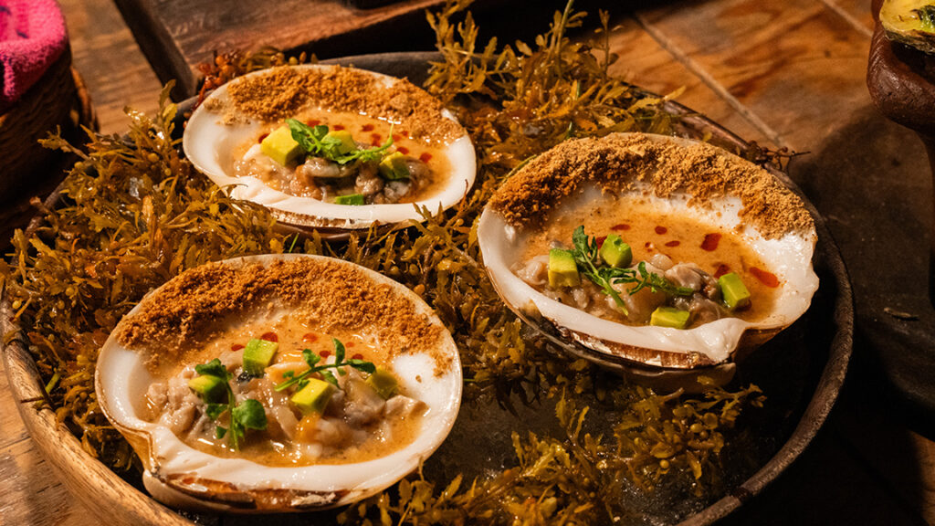 Puerto Morelos emerge con su ritmo pausado y una gastronomía que honra al mar