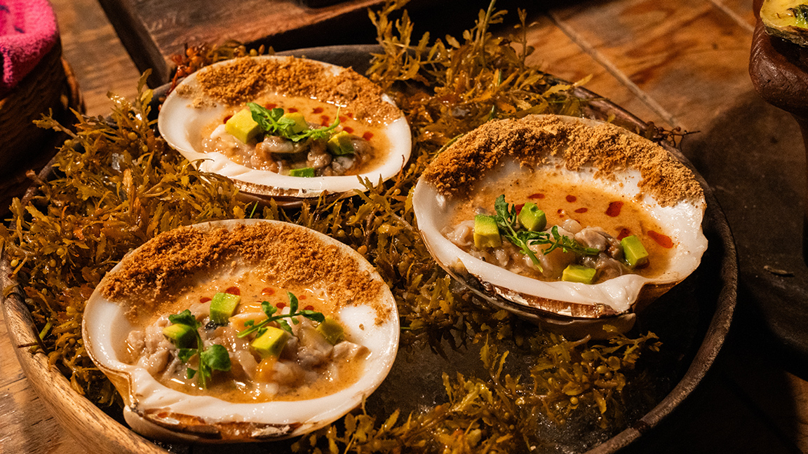 Puerto Morelos emerge con su ritmo pausado y una gastronomía que honra al mar