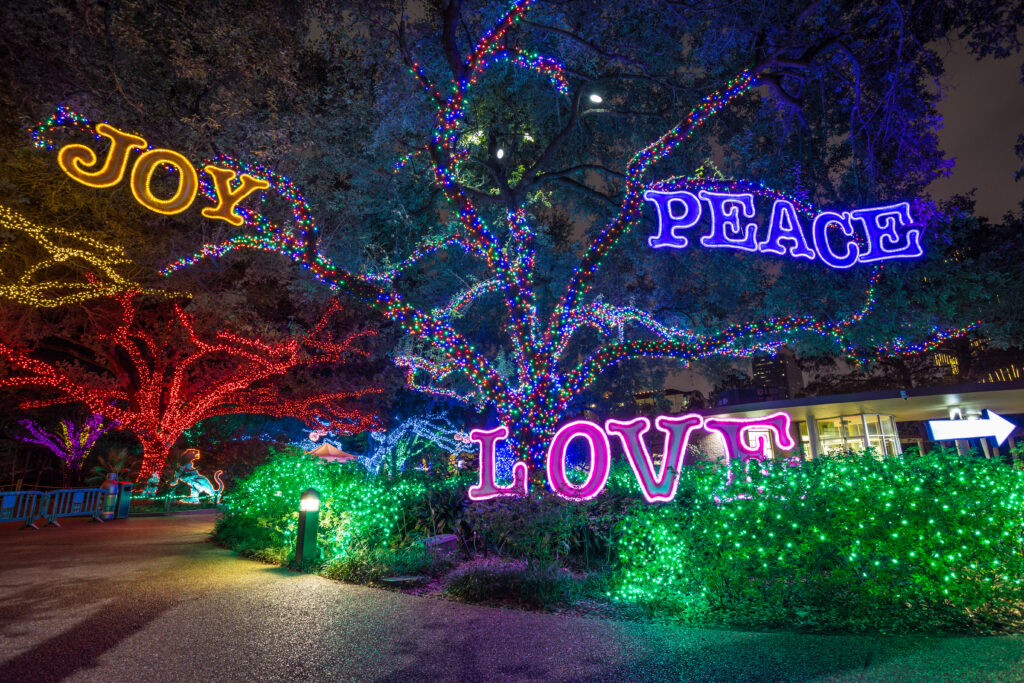Houston en Navidad: sabores, luces y experiencias para cerrar el año
