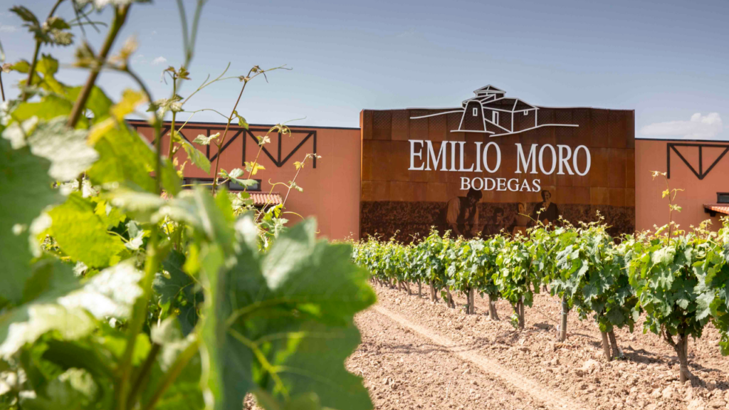 Emilio Moro: cuatro vinos para descubrir (y redescubrir) esta temporada