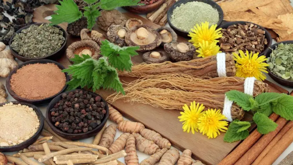 Adaptógenos y bebidas: equilibrio ancestral en cada sorbo