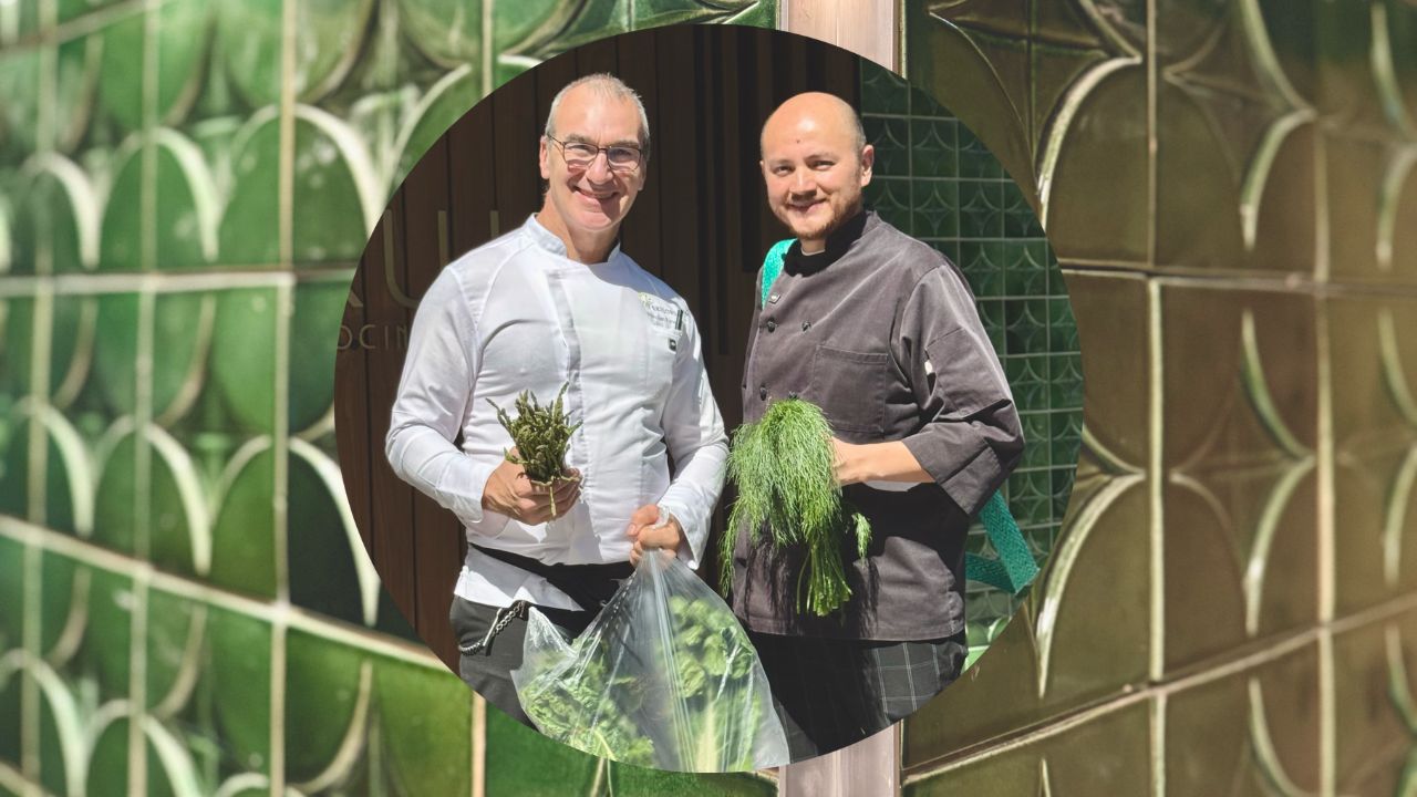 El Trujal abre en Polanco: una experiencia andaluza guiada por el aceite de oliva 