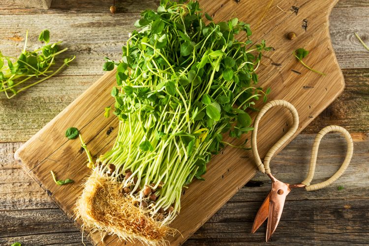 Las 8 verduras de hoja verde más ricas en nutrientes