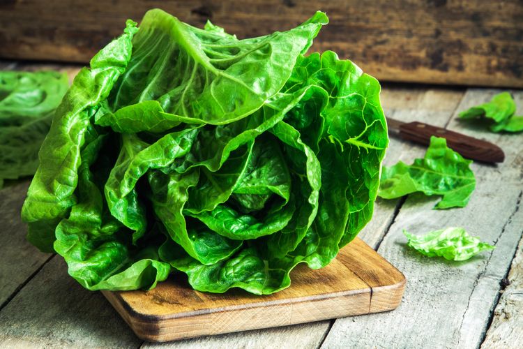 Las 8 verduras de hoja verde más ricas en nutrientes