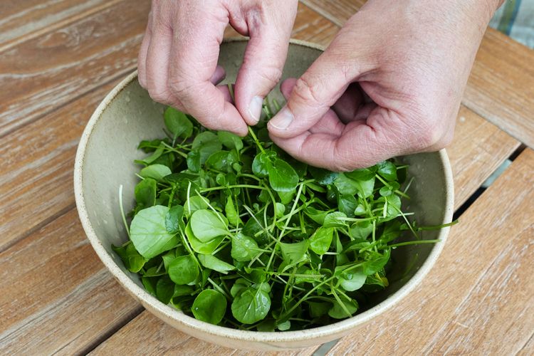 Las 8 verduras de hoja verde más ricas en nutrientes