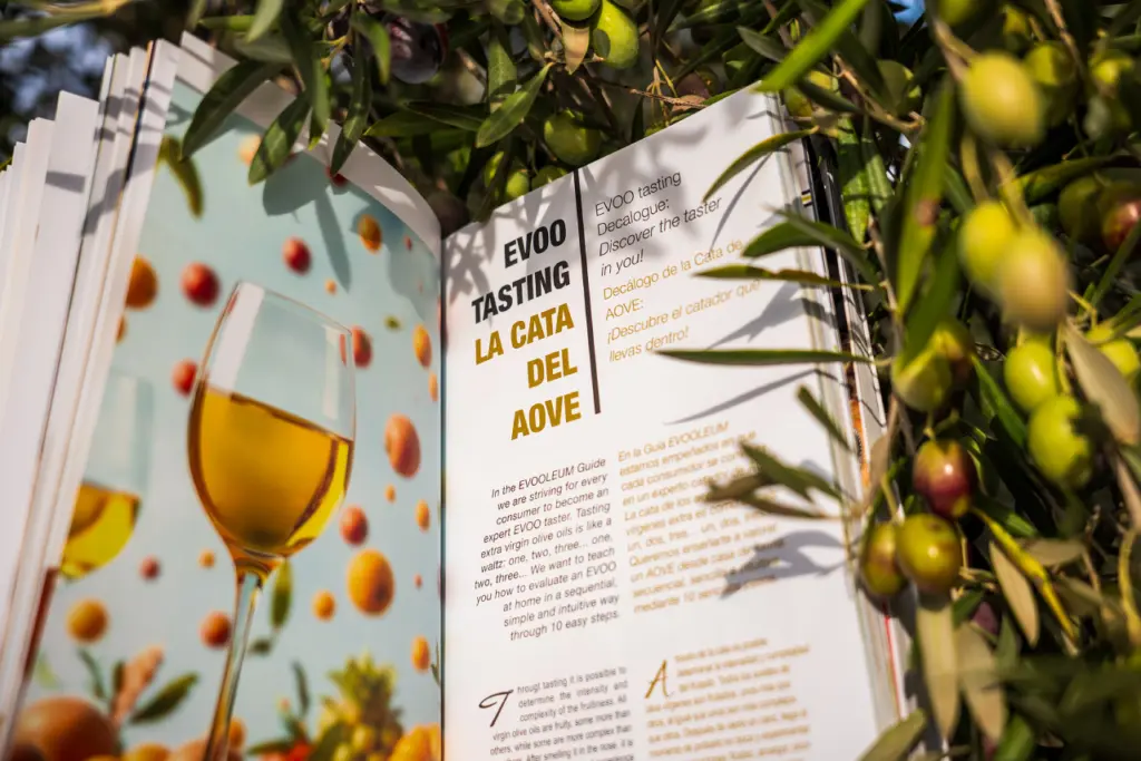 Los mejores aceites de oliva virgen extra que no superan los 11 € 