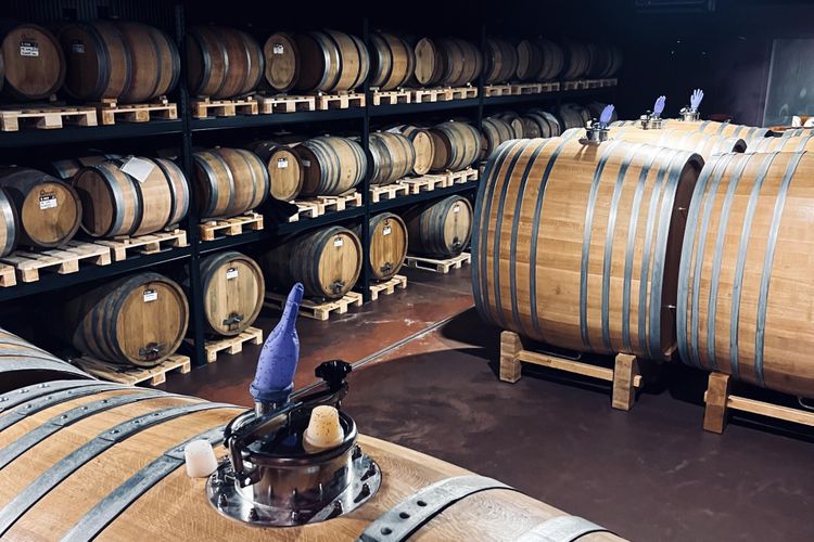 Por qué algunos de los vinos más atractivos no están ligados a un año