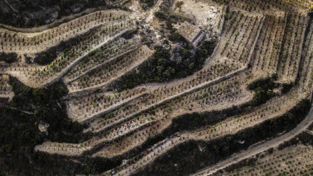 Prueba el exclusivo acervo de pequeñas parcelas de Rioja Alavesa en este wine corner