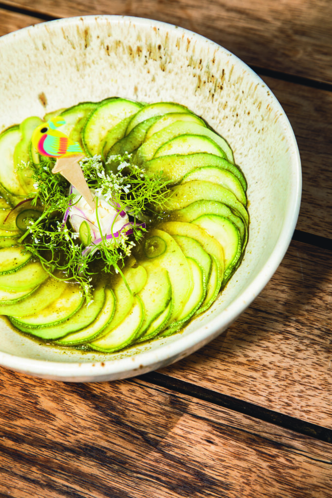 Tierra del Sol: cocina con conciencia y sabor a legado