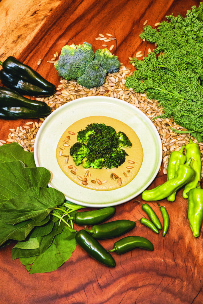 Tierra del Sol: cocina con conciencia y sabor a legado