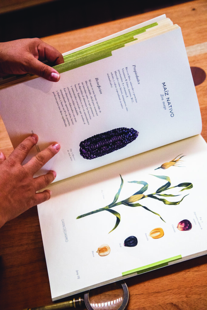 Tierra del Sol: cocina con conciencia y sabor a legado