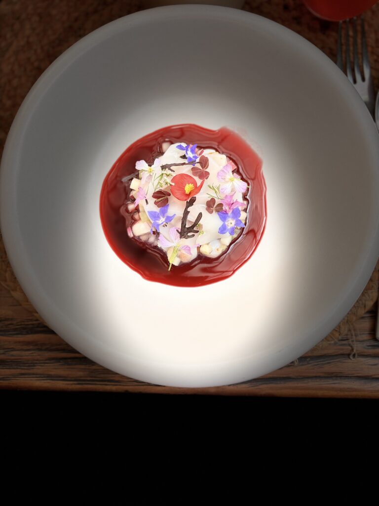 Bitácora del Paladar: la cocina es arte