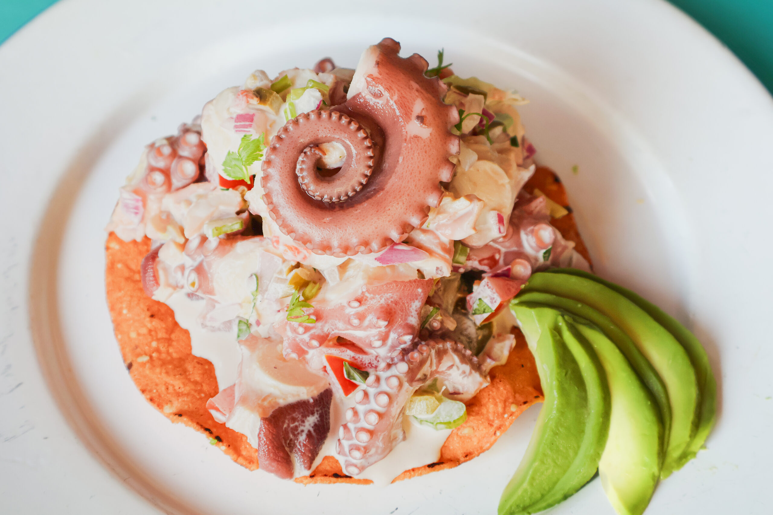 TePEZtlán: frescos pescados y mariscos entre las montañas tepoztecas 