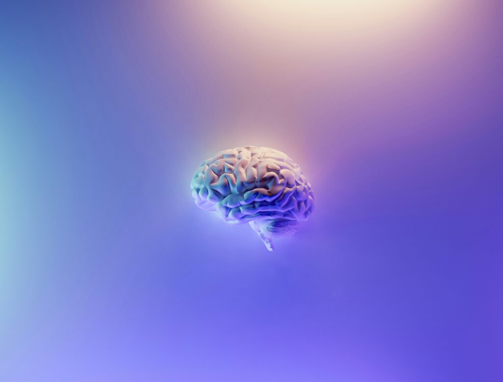 El cerebro como órgano energético