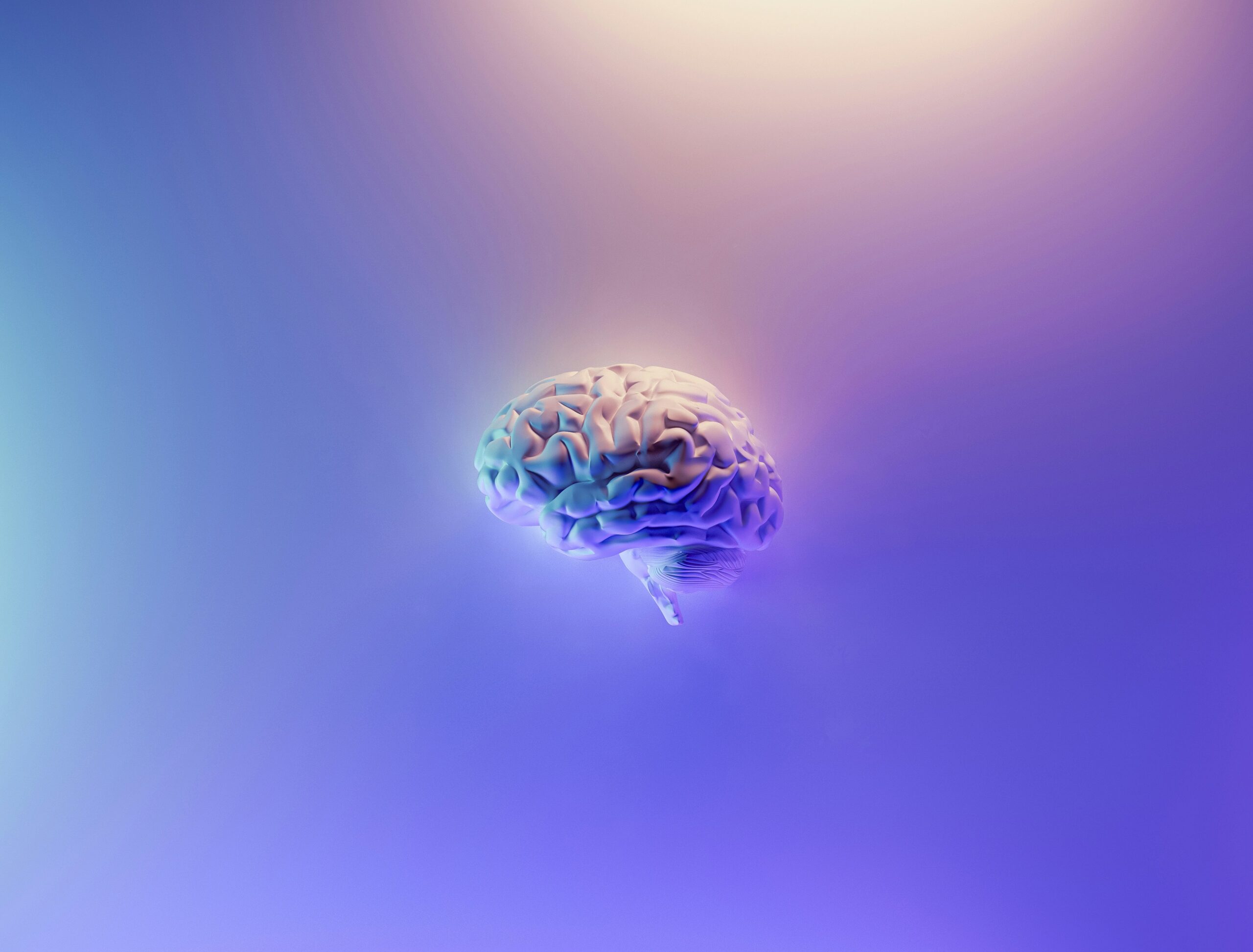El cerebro como órgano energético