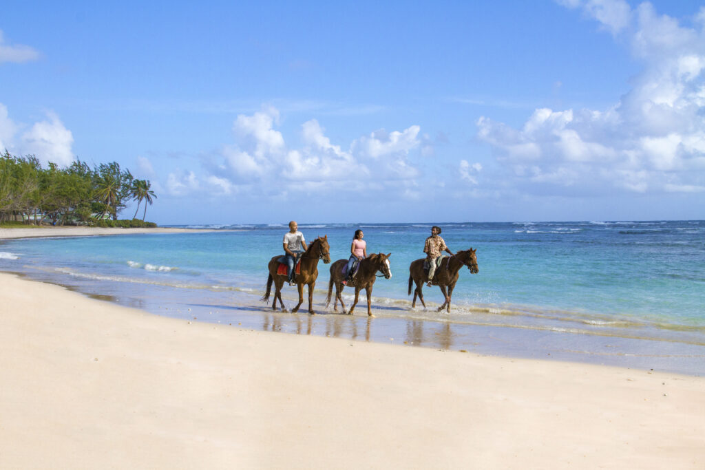 Barbados: donde el verano también se saborea