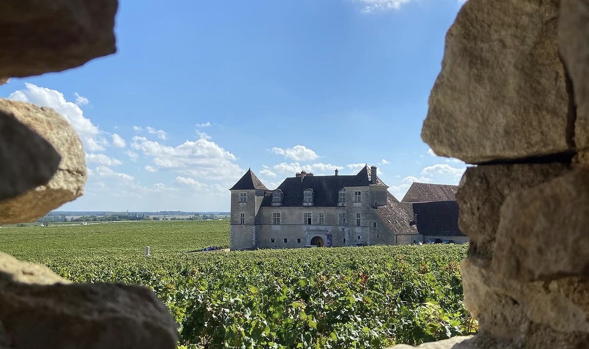 Louis Jadot se hace fuerte en México gracias a sus chardonnay y pinot noir
