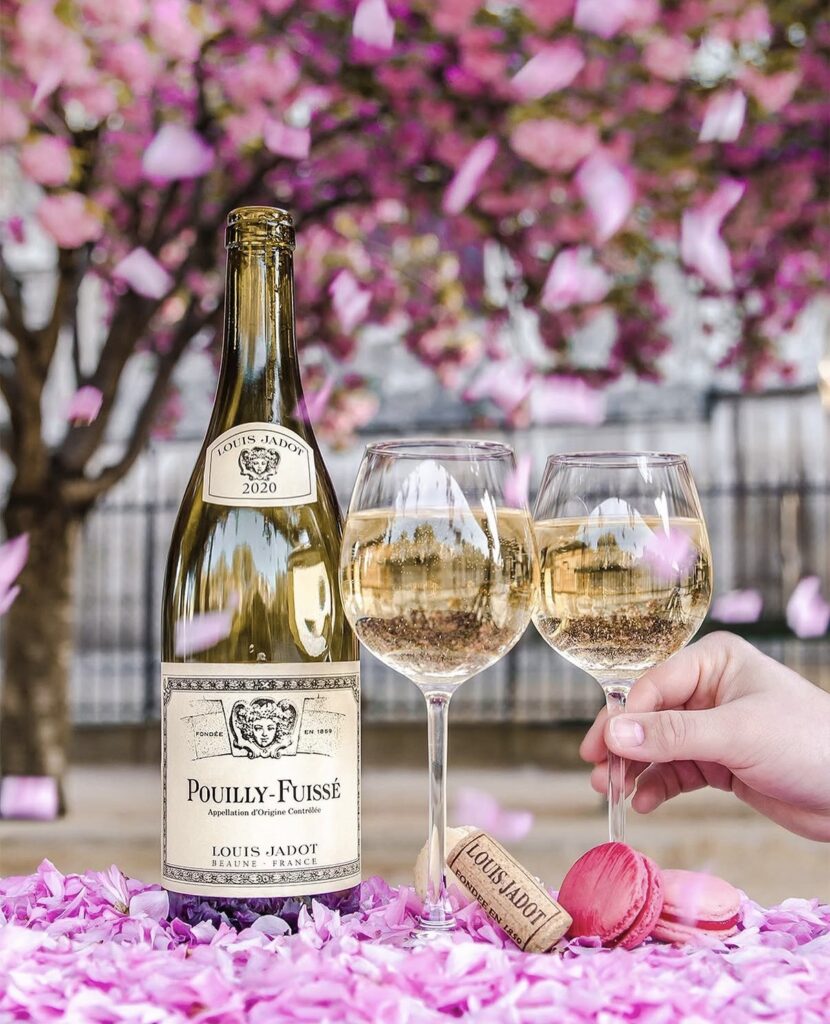 Louis Jadot se hace fuerte en México gracias a sus chardonnay y pinot noir