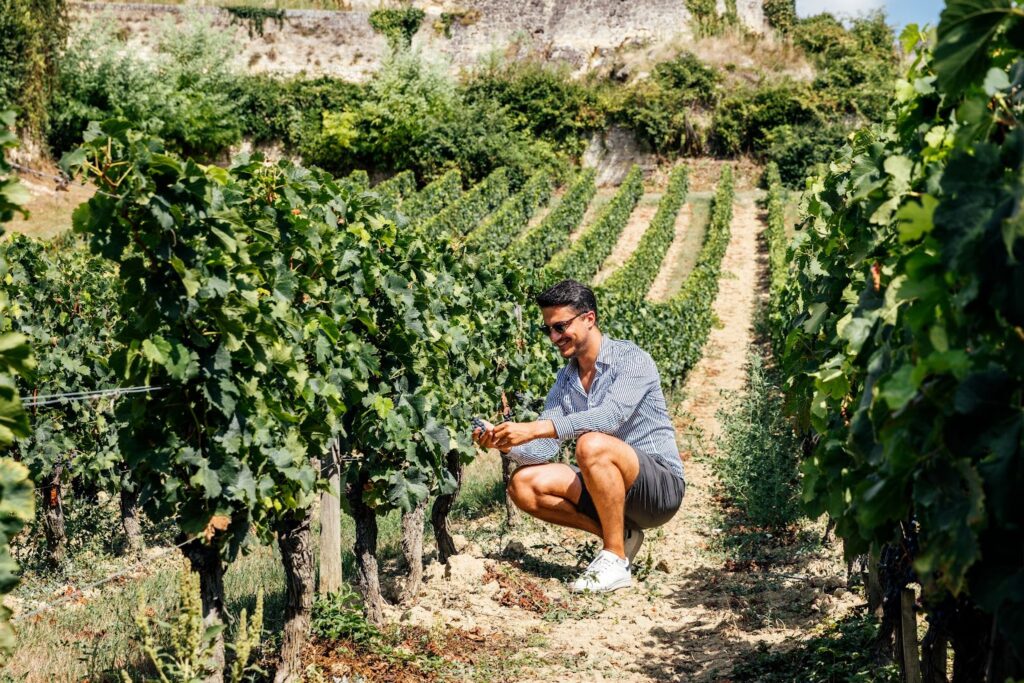 Scotiabank presenta Napa Valley: una experiencia diseñada entre viñedos, vino y alta cocina