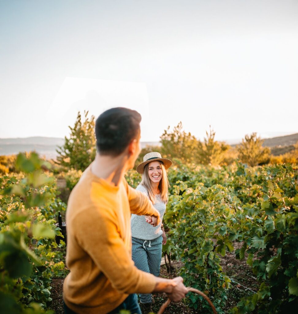 Scotiabank presenta Napa Valley: una experiencia diseñada entre viñedos, vino y alta cocina