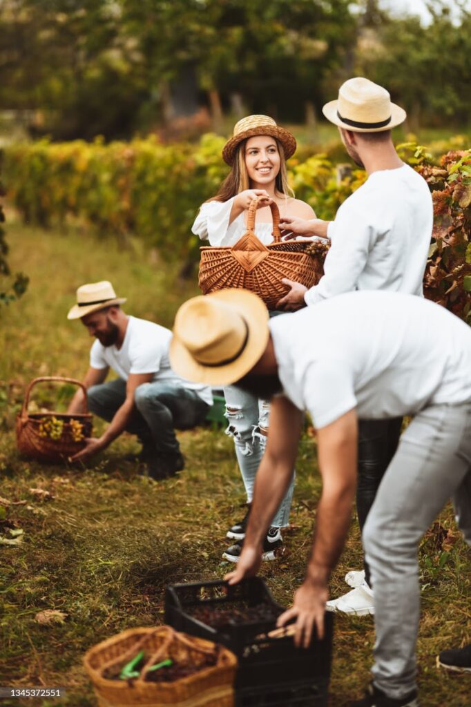 Scotiabank presenta Napa Valley: una experiencia diseñada entre viñedos, vino y alta cocina