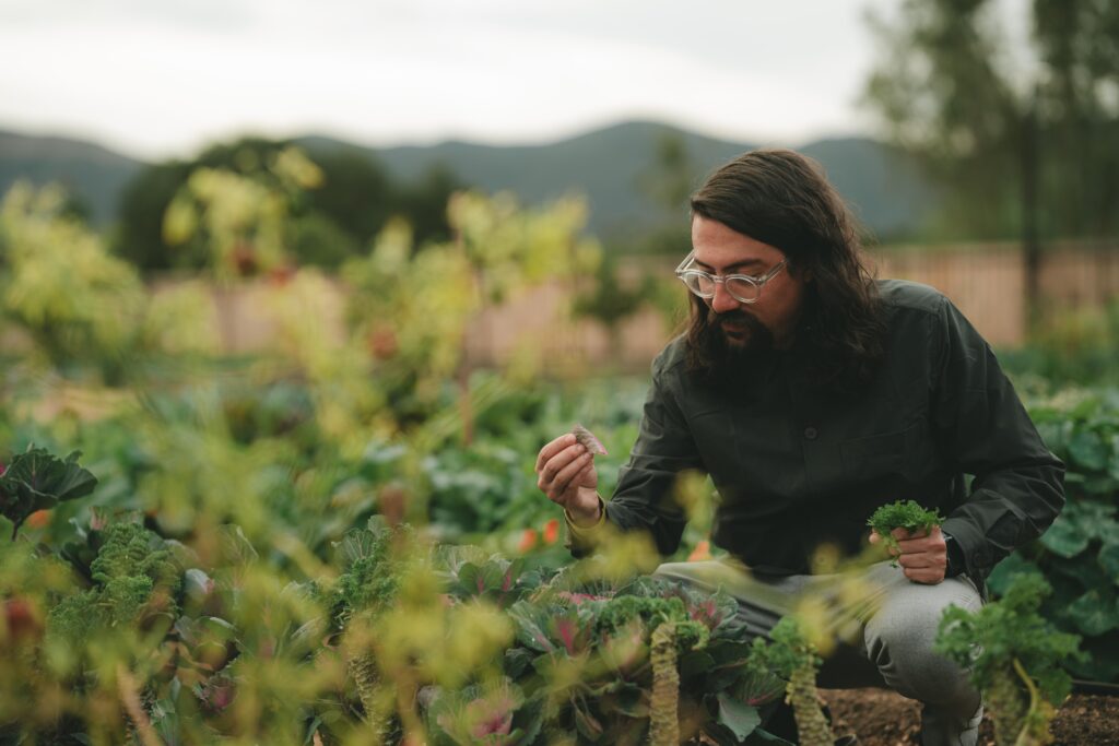 Olivea Farm to Table como motor del proyecto Casa Olivea 