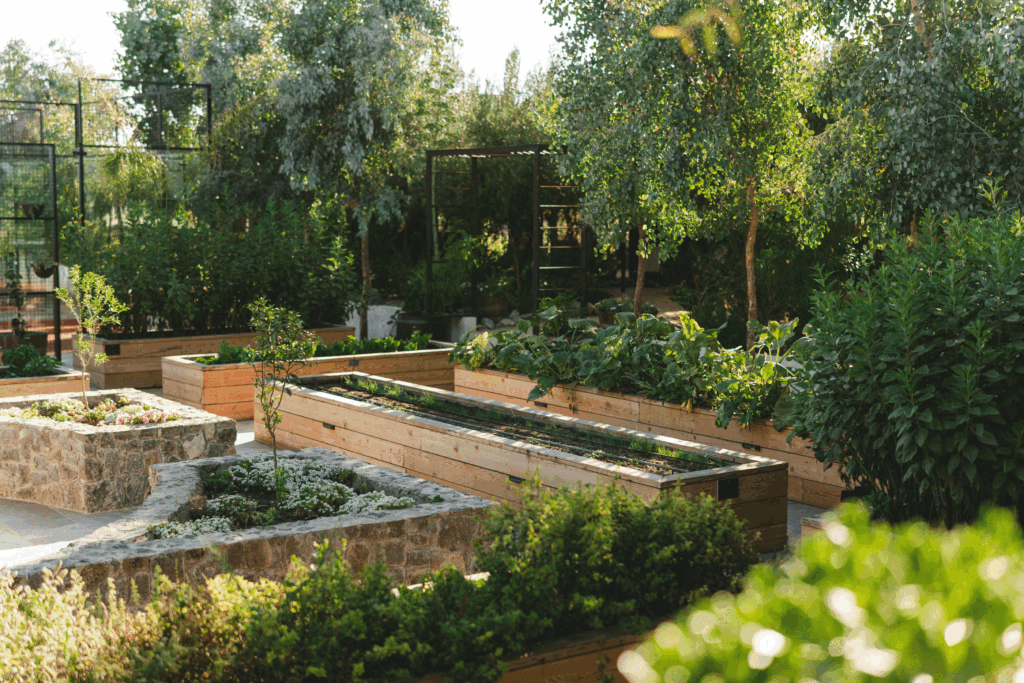 Olivea Farm to Table como motor del proyecto Casa Olivea 