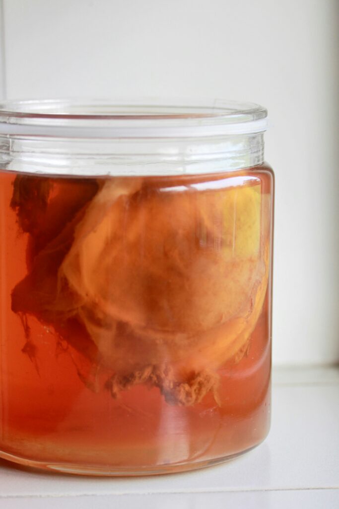 Hidratación con sabor: la tendencia de las bebidas naturales y fermentadas