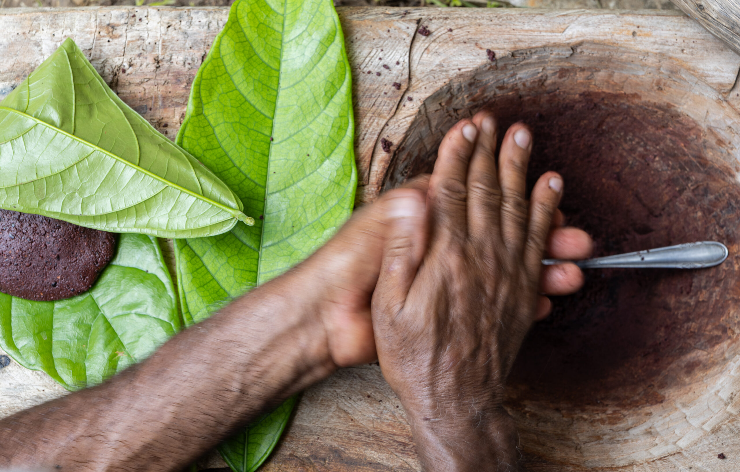 Más allá del chocolate: la experiencia del cacao en el corazón de Brasil