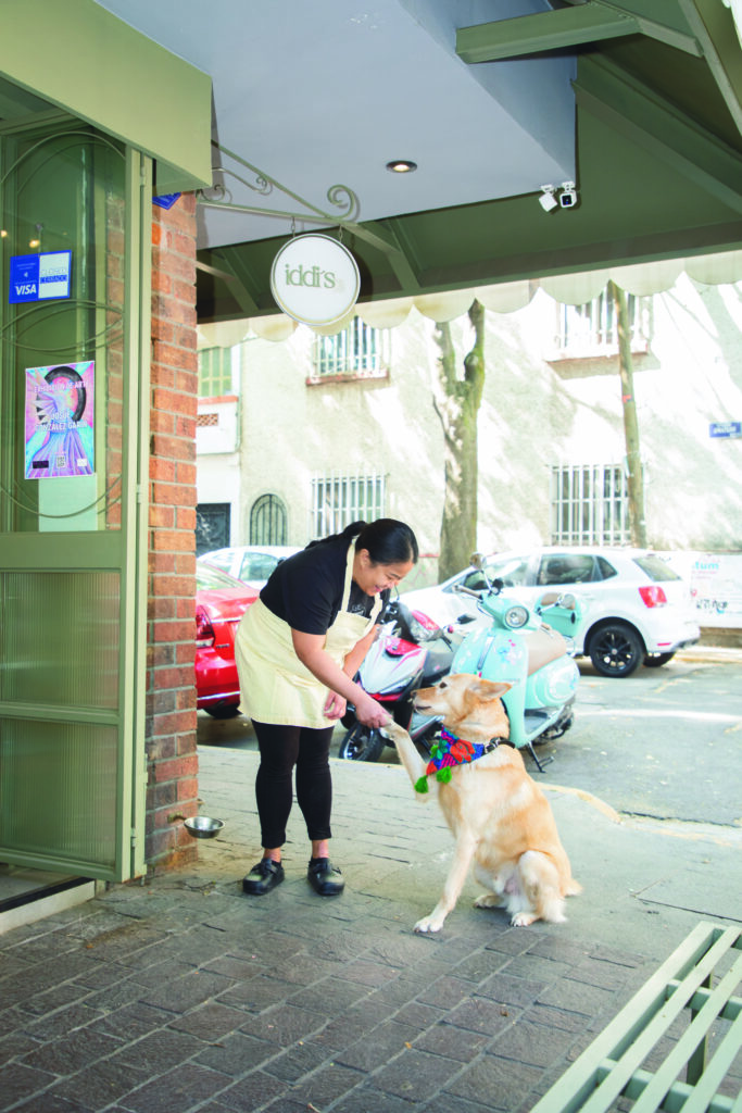 Espacios donde tu perro es bienvenido