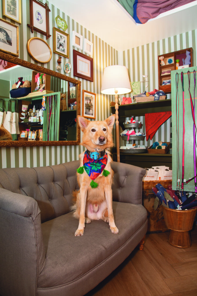 Espacios donde tu perro es bienvenido