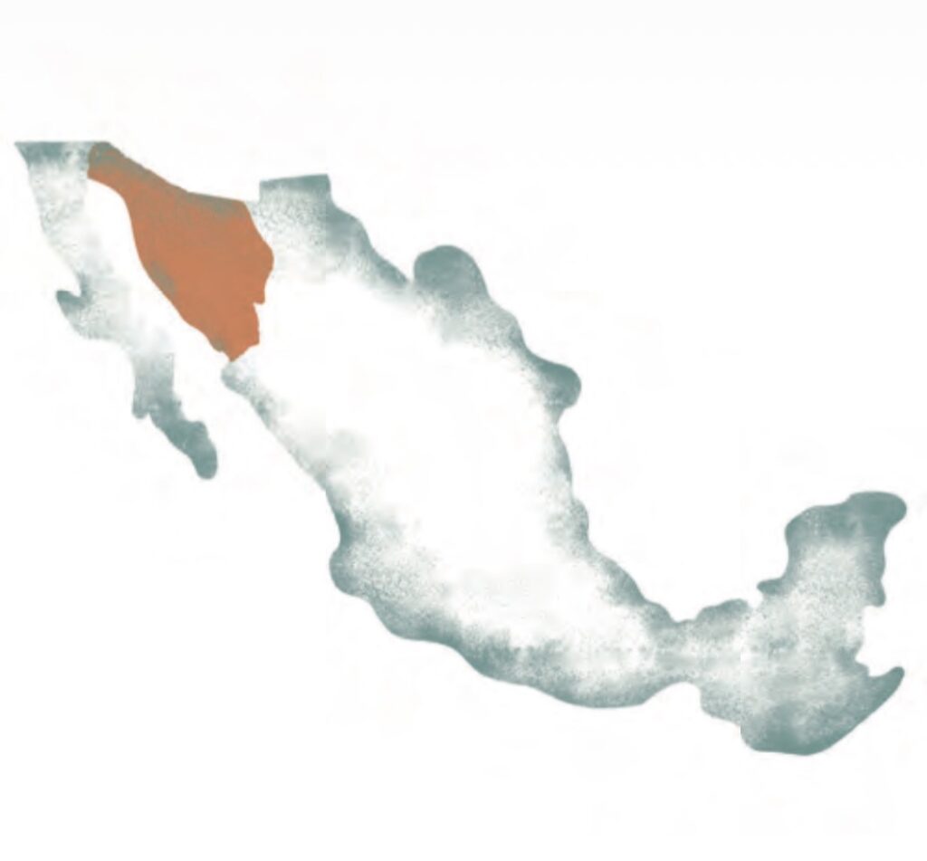 Territorio en copa: espíritus del mar al desierto