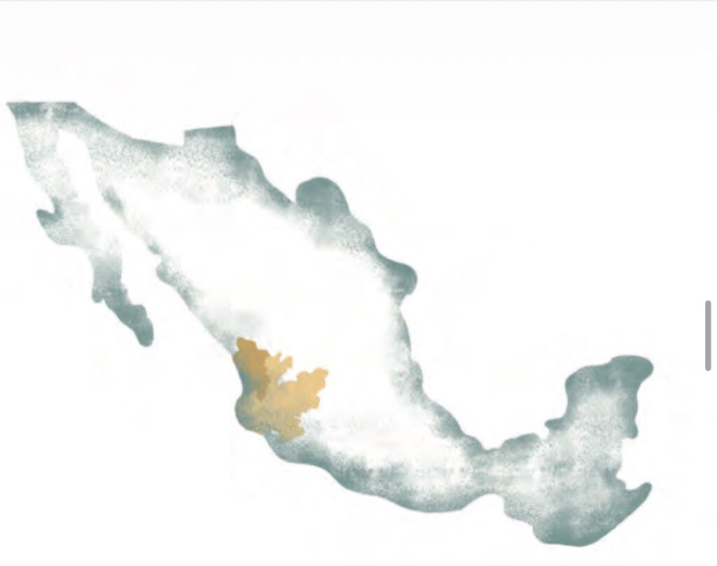 Territorio en copa: espíritus del mar al desierto