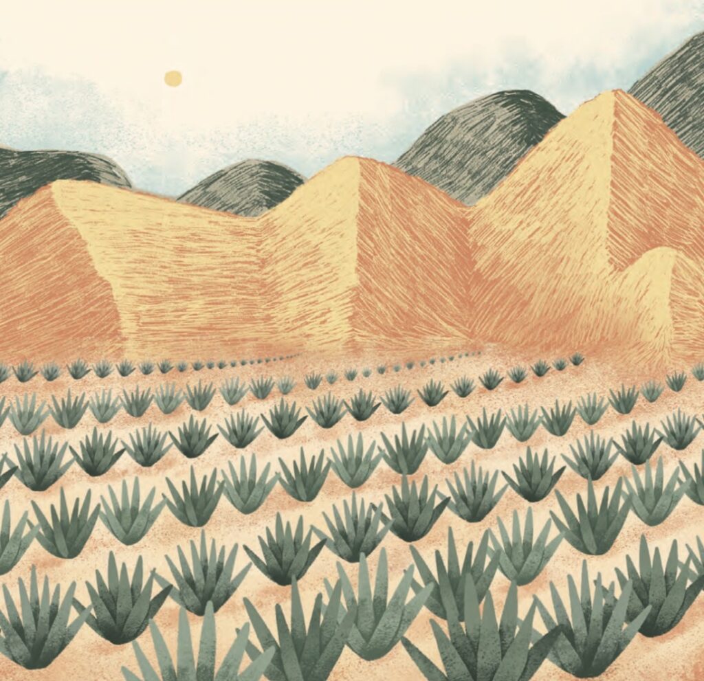 Territorio en copa: espíritus del mar al desierto