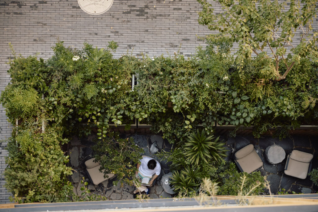 ONTO Álvaro Obregón, el arte de habitar la CDMX con calma