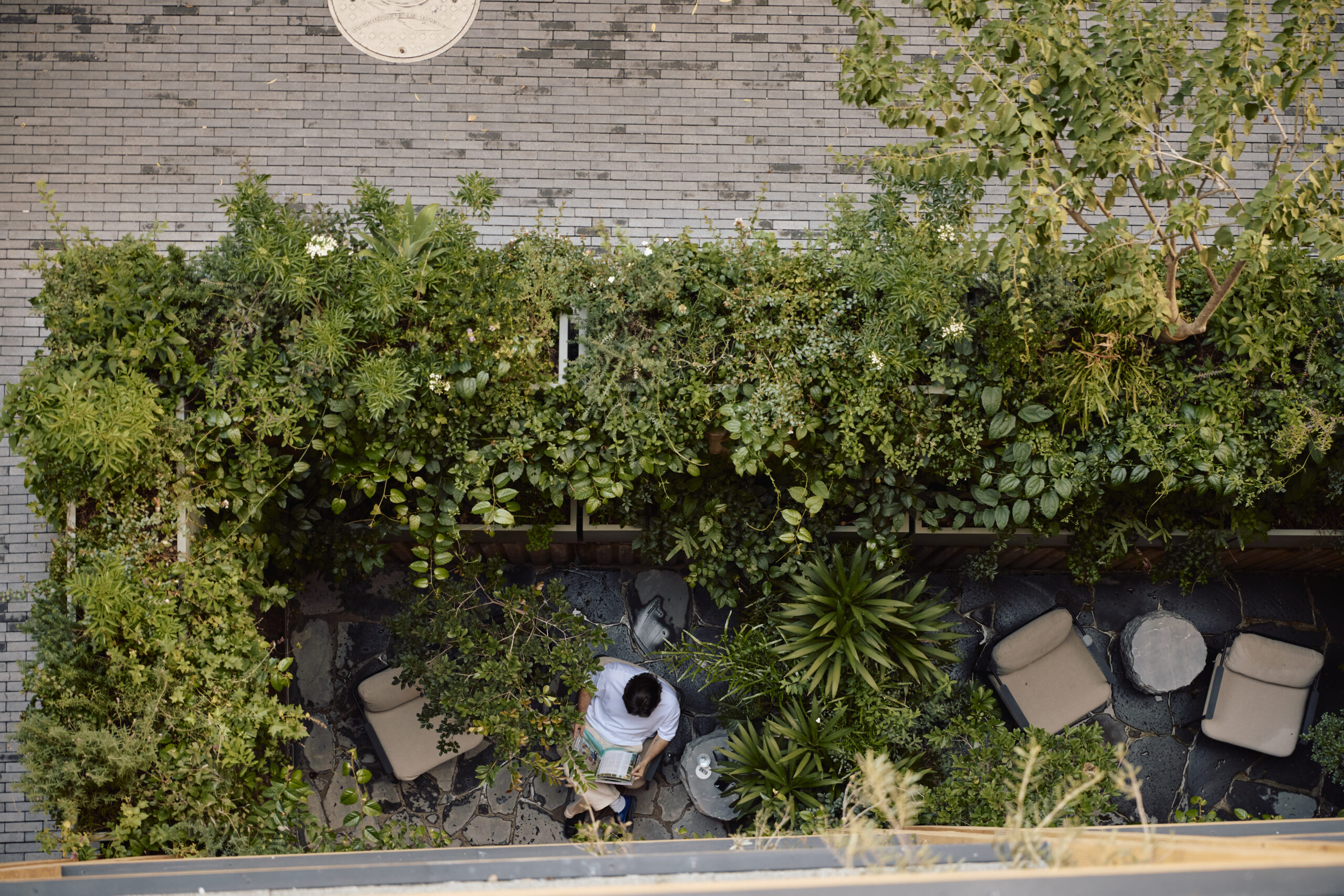 ONTO Álvaro Obregón, el arte de habitar la CDMX con calma